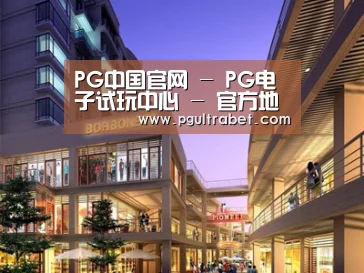 案例展示一