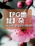 PG试玩